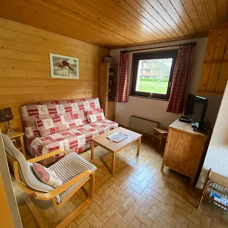 Cosy Et Lumineux Proche Des Telecabines, Avec Balcon Et Parking, Animaux Acceptes ! - Fr-1-692-33