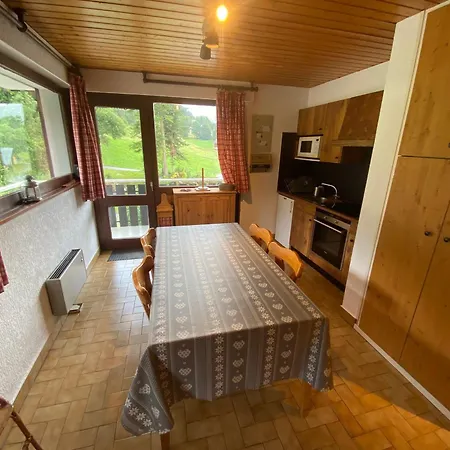 Cosy Et Lumineux Proche Des Telecabines, Avec Balcon Et Parking, Animaux Acceptes ! - Fr-1-692-33 * La Chapelle-d'Abondance