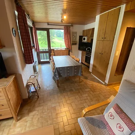 Cosy Et Lumineux Proche Des Telecabines, Avec Balcon Et Parking, Animaux Acceptes ! - Fr-1-692-33 La Chapelle-d'Abondance